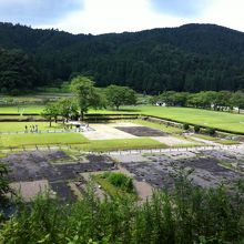 館の上から全景