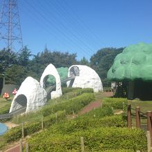 アスレチックなどもあります。