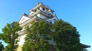 天守閣から大山が一望！