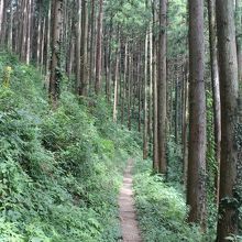 五常の滝から北向地蔵に向かう山道