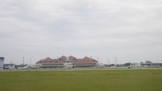 大きな鳥が翼をひろげている