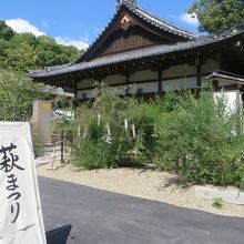 既に入口付近にも萩が咲いていた。