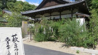 境内の萩が見事。