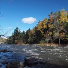 川に沿って公園があります。