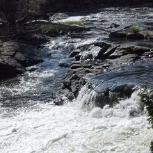 川面がキラキラ