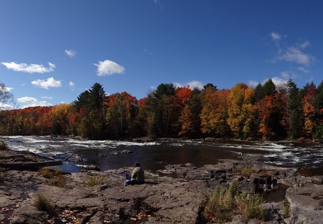 モントランブランの紅葉がピークを過ぎたのでモントリオールへ戻る途中に。　＠Le Parc Regional de la Riviere-du-Nord