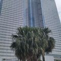 リッチな気分になれる