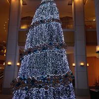 1月でもクリスマスツリーが飾ってありました。