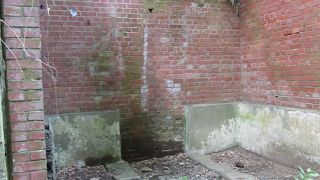 観光・散策にどうぞ・・・