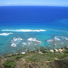 山頂から見たサンゴの海