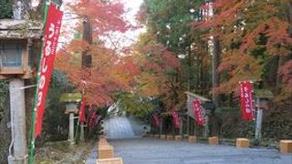 、紅葉の時期になると、鮮やかな赤を出してくれるポイントです。