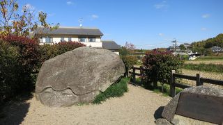 田んぼの中にある思ったより大きな亀石