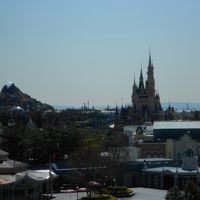 ズームでこんな写真も撮れました