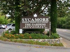 シカモア ミネラル スプリングス 写真