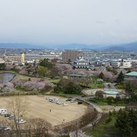 桜の時期で部屋から長浜城の桜がよく見えました