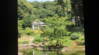 方丈裏の心字池庭園が素晴らしい