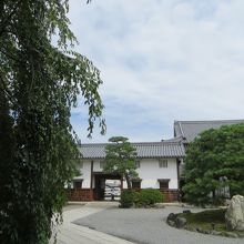 境内に大きな枝垂れ桜。春は見事でしょう。