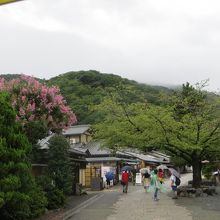 いつ来ても嵐山は美しい。