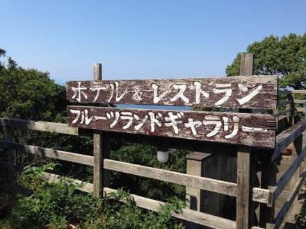 西伊豆　富士山の見える絶景の宿　フルーツランドギャラリー 写真