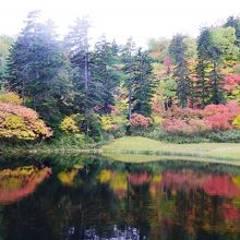 滝見沼の紅葉