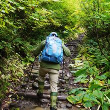 もちろんこんな道もあります。