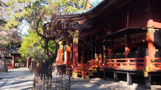 谷根千散策の際はぜひ訪れてほしい東京十社のひとつ。普段はほのぼの～