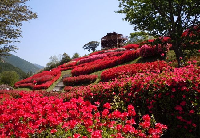 椎八重公園