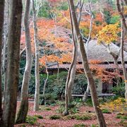 京都・嵐山の穴場スポットはココ！