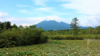 のんびりしてる