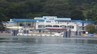 松島海岸の水族館です。