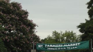 USDA ファーマーズ マーケット