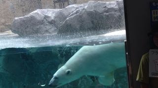 旭川一番のスポット