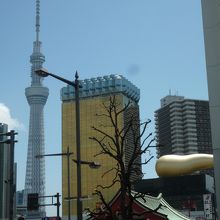 ビルとスカイツリーが目立ちますね