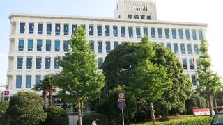 日本スポーツ界の本山