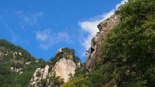 3歳児と一緒に楽しめました！