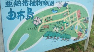 水牛車に乗って対岸まで！