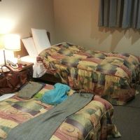 広めですがセンスのない部屋