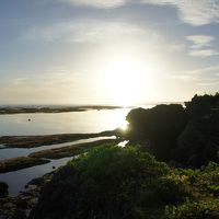 備瀬崎を早朝散歩