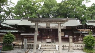 生國魂神社境内社の一つで他の境内社と並んでいます