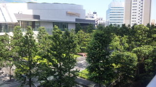 涼しくなりました