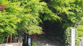 大人気の黄色い幸福お守りがほしくて