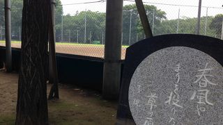 公園内の野球場