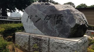 パンダはいないからね