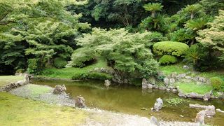 趣がある書院庭園です