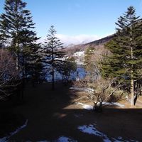 中禅寺湖を見ることができます。