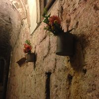 アーチの真下の花