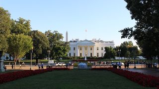 思った程大きくなかった。