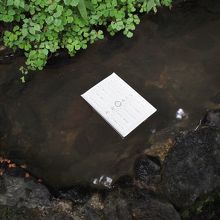 水占おみくじ。水に浸すと文字が出てきます。