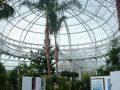 グラスゴー植物園