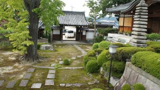 こじんまりとはしているものの美しい佇まい